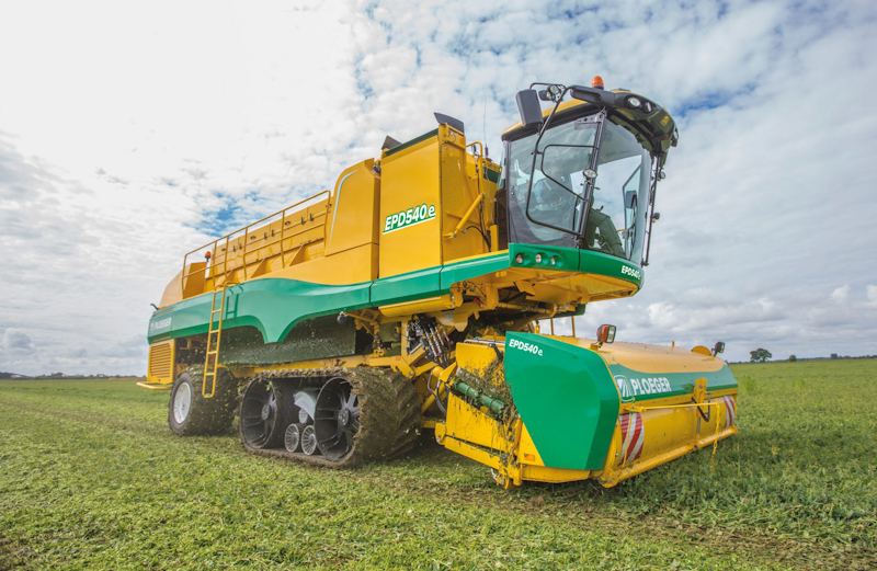 Legume Harvesting