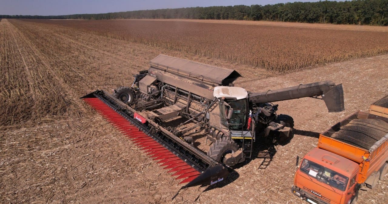 Oilseed Harvesting